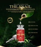 High Quality 100% Snail Extract Serum