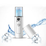 Portable Steam Face Replenishment Facial Humidifier