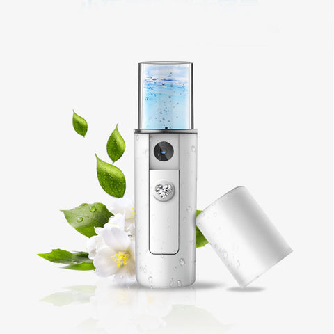 Portable Steam Face Replenishment Facial Humidifier